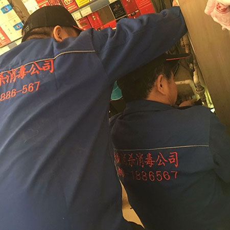 济南专业消毒服务
